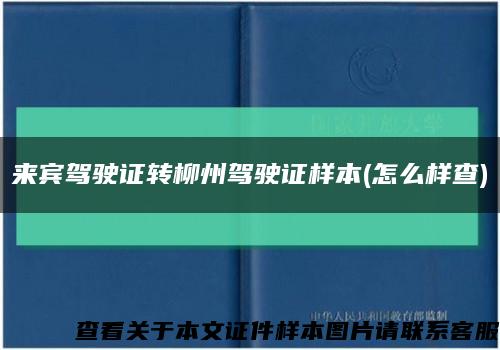 来宾驾驶证转柳州驾驶证样本(怎么样查)缩略图