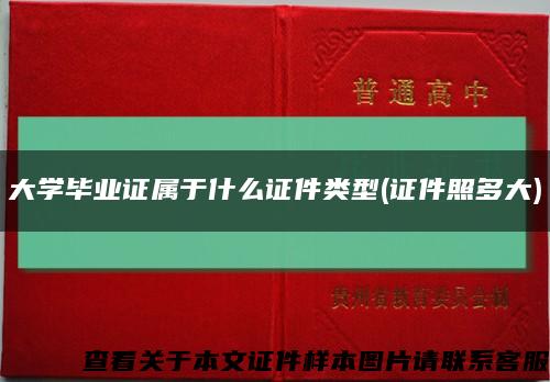 大学毕业证属于什么证件类型(证件照多大)缩略图
