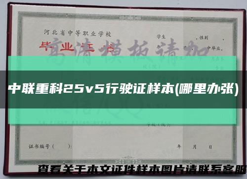 中联重科25v5行驶证样本(哪里办张)缩略图