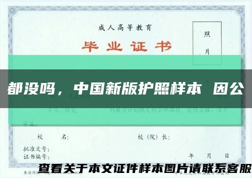 都没吗，中国新版护照样本 因公缩略图