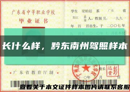 长什么样，黔东南州驾照样本缩略图