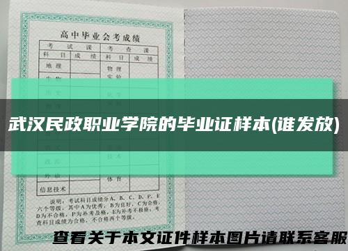 武汉民政职业学院的毕业证样本(谁发放)缩略图