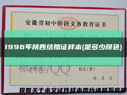 1996年陕西结婚证样本(是多少颜色)缩略图