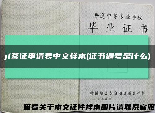 j1签证申请表中文样本(证书编号是什么)缩略图