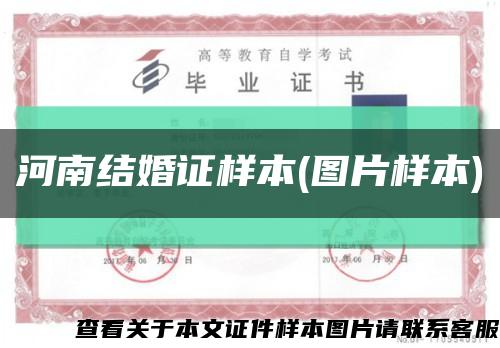 河南结婚证样本(图片样本)缩略图