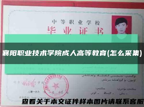 襄阳职业技术学院成人高等教育(怎么采集)缩略图