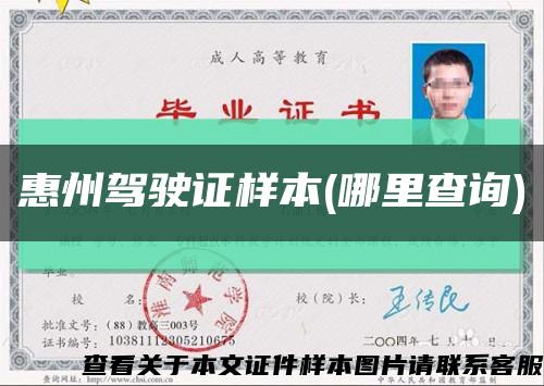 惠州驾驶证样本(哪里查询)缩略图