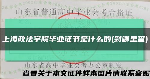 上海政法学院毕业证书是什么的(到哪里查)缩略图