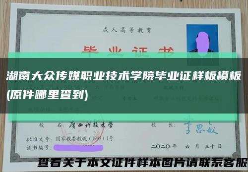 湖南大众传媒职业技术学院毕业证样板模板(原件哪里查到)缩略图