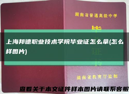 上海邦德职业技术学院毕业证怎么拿(怎么样图片)缩略图