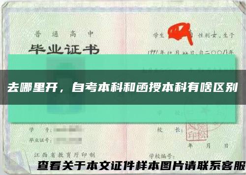 去哪里开，自考本科和函授本科有啥区别缩略图