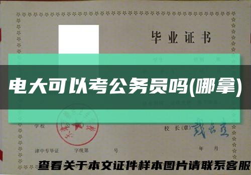 电大可以考公务员吗(哪拿)缩略图