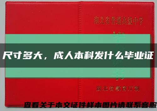 尺寸多大，成人本科发什么毕业证缩略图