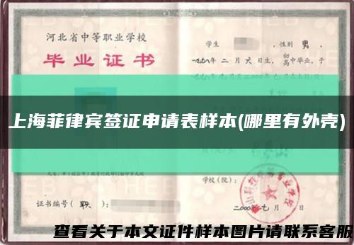 上海菲律宾签证申请表样本(哪里有外壳)缩略图