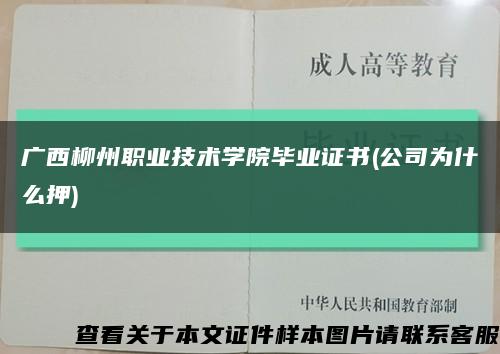 广西柳州职业技术学院毕业证书(公司为什么押)缩略图