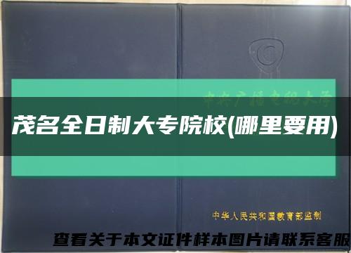 茂名全日制大专院校(哪里要用)缩略图