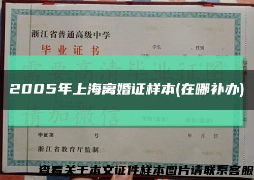 2005年上海离婚证样本(在哪补办)缩略图