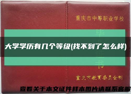 大学学历有几个等级(找不到了怎么样)缩略图