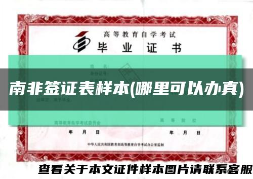 南非签证表样本(哪里可以办真)缩略图