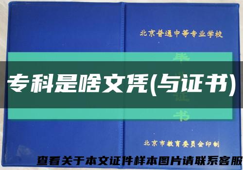 专科是啥文凭(与证书)缩略图