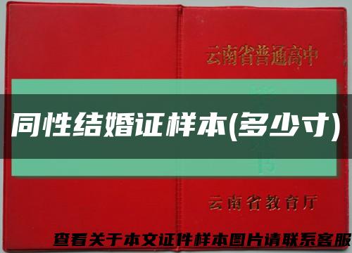 同性结婚证样本(多少寸)缩略图