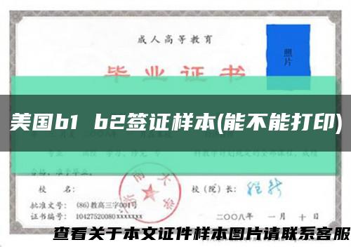 美国b1 b2签证样本(能不能打印)缩略图