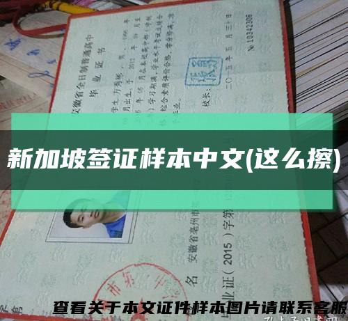 新加坡签证样本中文(这么擦)缩略图