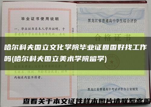 哈尔科夫国立文化学院毕业证回国好找工作吗(哈尔科夫国立美术学院留学)缩略图