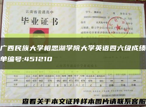 广西民族大学相思湖学院大学英语四六级成绩单编号:451210缩略图