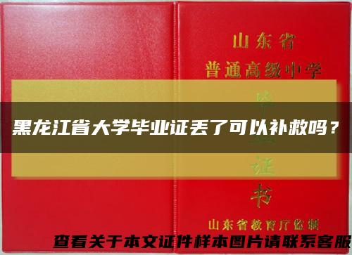 黑龙江省大学毕业证丢了可以补救吗？缩略图