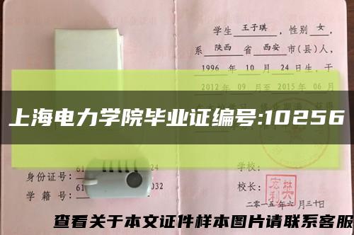 上海电力学院毕业证编号:10256缩略图
