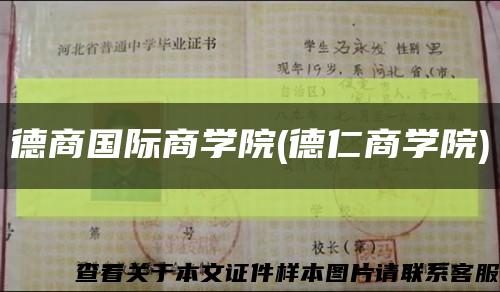 德商国际商学院(德仁商学院)缩略图