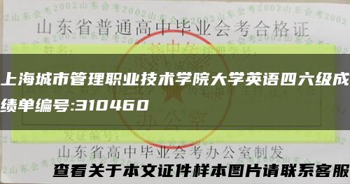 上海城市管理职业技术学院大学英语四六级成绩单编号:310460缩略图