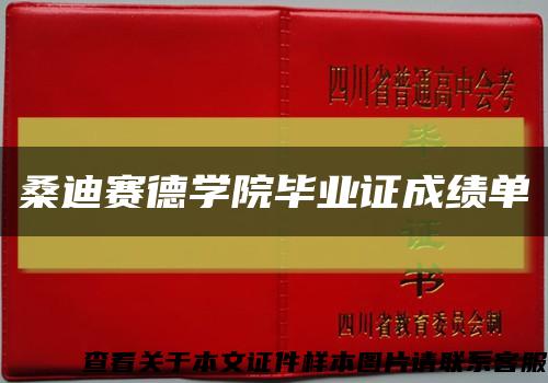 桑迪赛德学院毕业证成绩单缩略图