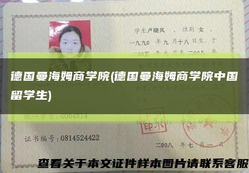 德国曼海姆商学院(德国曼海姆商学院中国留学生)缩略图