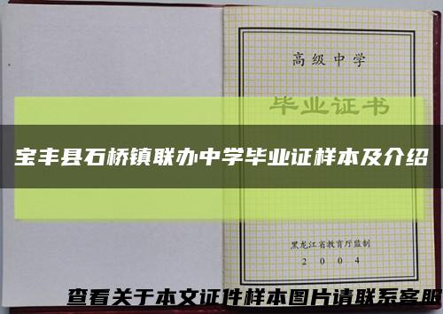 宝丰县石桥镇联办中学毕业证样本及介绍缩略图