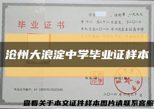 沧州大浪淀中学毕业证样本缩略图