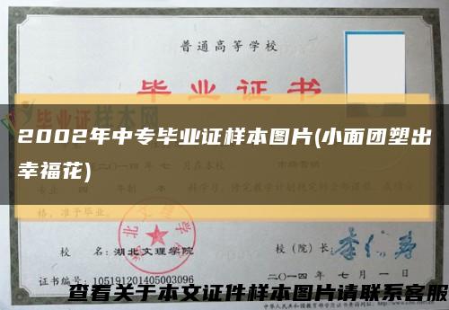 2002年中专毕业证样本图片(小面团塑出幸福花)缩略图