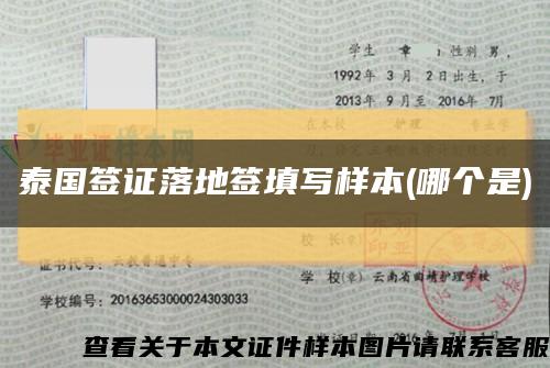 泰国签证落地签填写样本(哪个是)缩略图