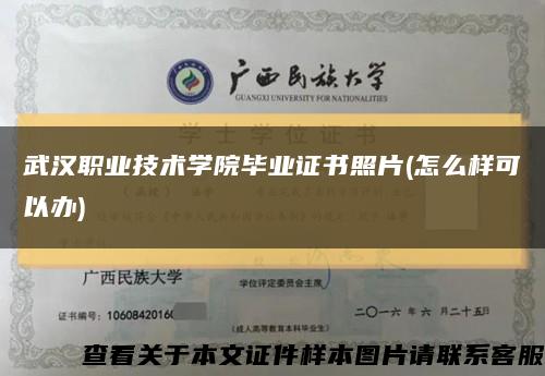 武汉职业技术学院毕业证书照片(怎么样可以办)缩略图
