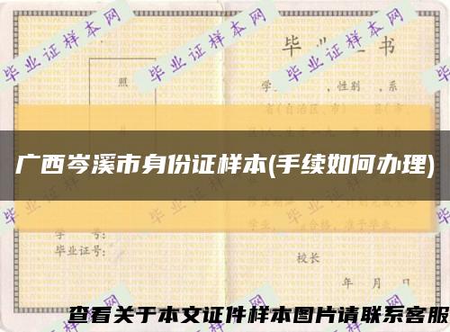 广西岑溪市身份证样本(手续如何办理)缩略图
