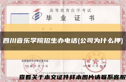 四川音乐学院招生办电话(公司为什么押)缩略图