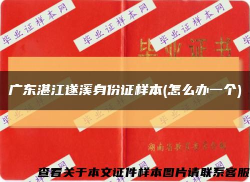 广东湛江遂溪身份证样本(怎么办一个)缩略图