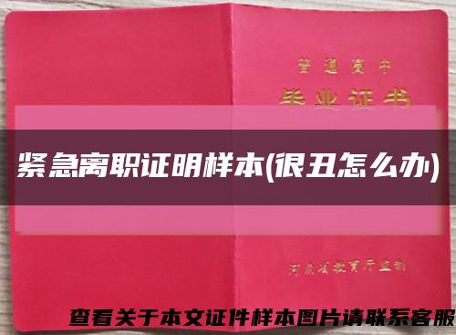 紧急离职证明样本(很丑怎么办)缩略图