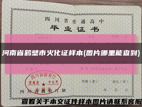 河南省鹤壁市火化证样本(图片哪里能查到)缩略图