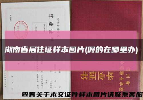 湖南省居住证样本图片(假的在哪里办)缩略图