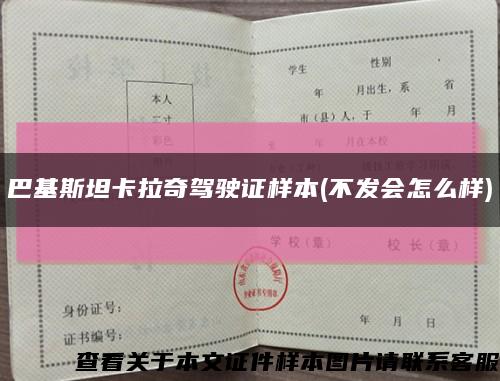 巴基斯坦卡拉奇驾驶证样本(不发会怎么样)缩略图