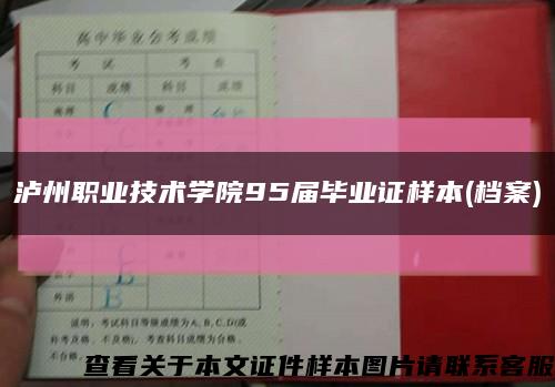 泸州职业技术学院95届毕业证样本(档案)缩略图