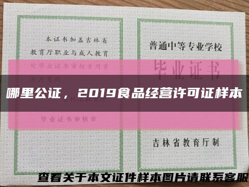 哪里公证，2019食品经营许可证样本缩略图