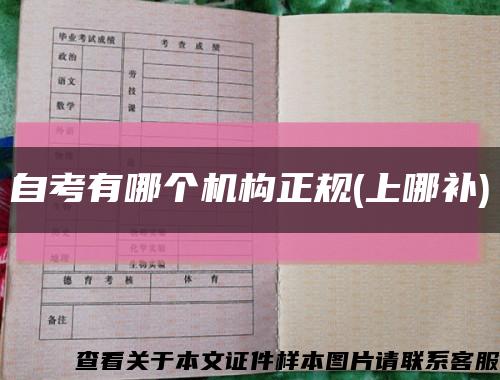 自考有哪个机构正规(上哪补)缩略图